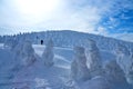 Snow Monsters of Mt.Zao in Yamagata, Japan Royalty Free Stock Photo